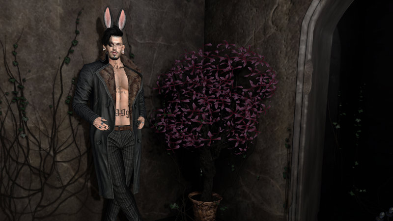 Jɪɴx Ripper - April 14, 2026