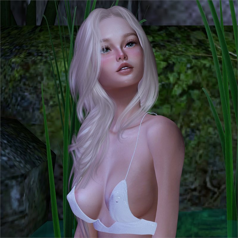 Haiku - Midnight Poetry